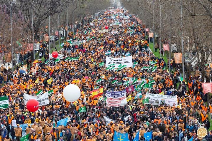 Las Federaciones de Caza de toda España anuncian inminentes movilizaciones si la Ley Animalista NO excluye a la caza