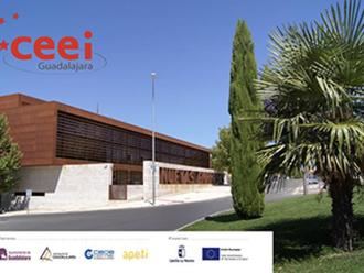 Festo, del colegio Giovanni Antonio Farina gana la V edición de la competición robótica "BOTSCHALLENGES"