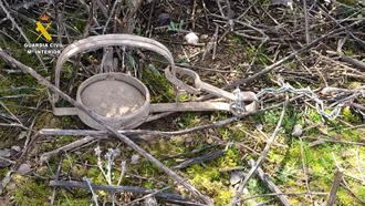 Una persona investigada como presunto responsable de la muerte de un gato que habría quedado atrapado en un cepo ilegal de caza en Iriépal