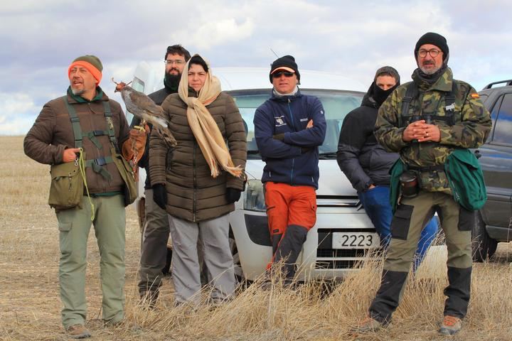 Veintiún cetreros participan en el I Campeonato Autonómico de Cetrería de CLM