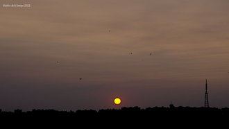 No es calima, es el humo del incendio de Canadá lo que se en los cielos de Madrid