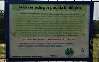 Por segundo a&#241;o consecutivo, el Ayuntamiento de Yebes cierra este viernes el bosque de Valdenazar para la parada biol&#243;gica 