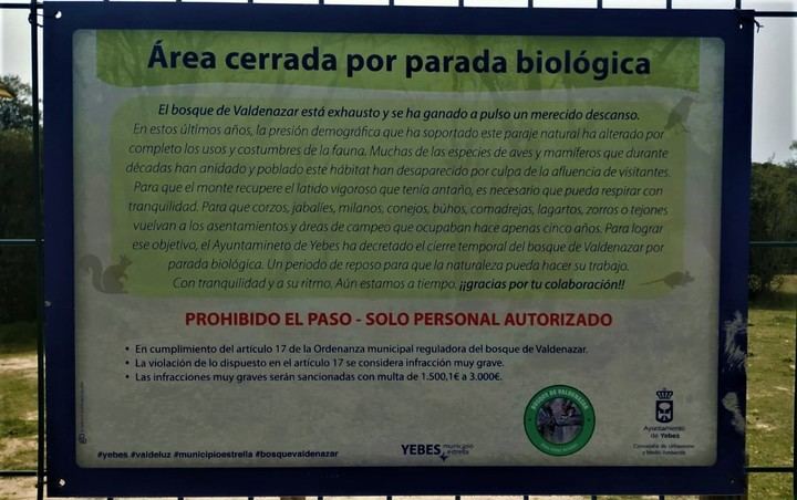 Por segundo año consecutivo, el Ayuntamiento de Yebes cierra este viernes el bosque de Valdenazar para la parada biológica 