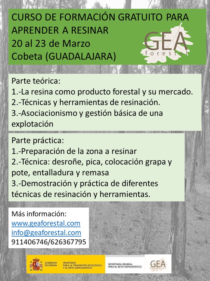 El Señorío de Molina-Alto Tajo apuesta por la Gestión Forestal como motor de desarrollo rural