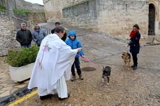 Cogolludo celebró San Antón en San Pedro