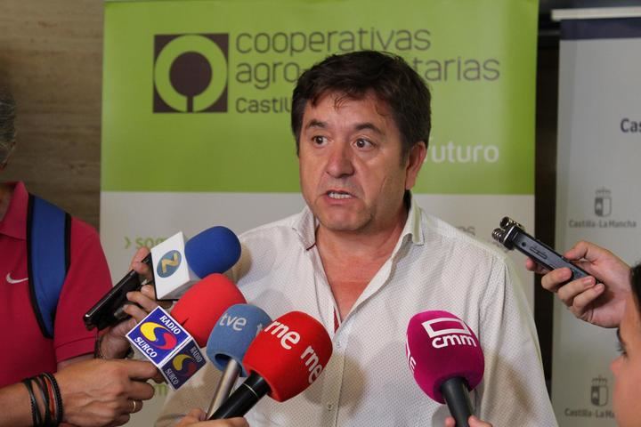 Cooperativas Agro-alimentarias estima una cosecha de 19,5 millones de hl de vino y mosto en Castilla-La Mancha, un 13% menos que el pasado año