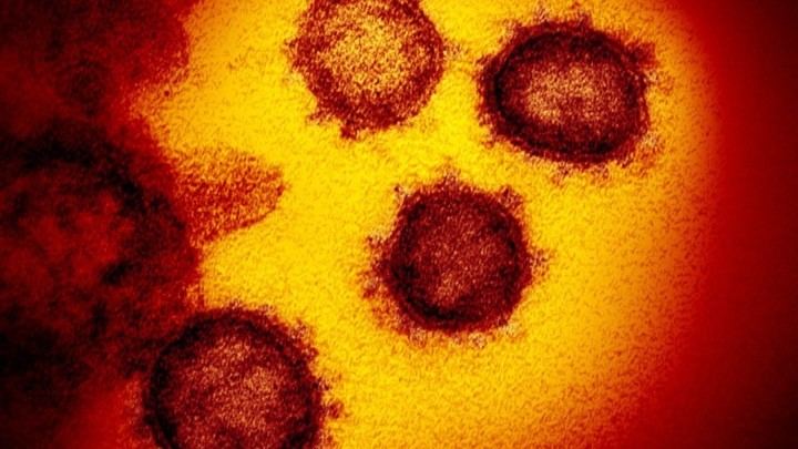 De los 525 casos de coronavirus detectados este jueves en la CLM (458, jueves pasado), 61 son de Guadalajara