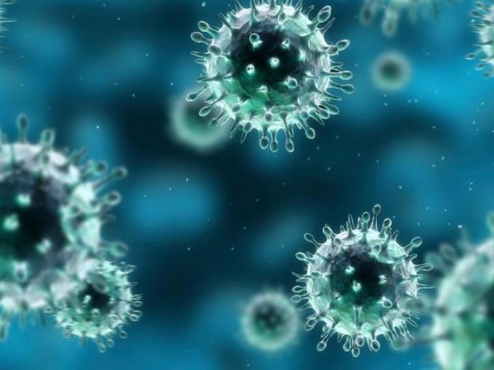 La OMS advierte que en Oriente Próximo y el norte de África lo peor de la pandemia del coronavirus 