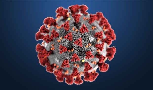 LO PEOR DE LA CRISIS : España registra en tan solo 24 horas 514 muertos y roza los 40.000 casos positivos de coronavirus