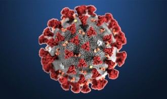  Un informe del Instituto de Salud Carlos III al que ha tenido acceso EL PA&#205;S revela que el n&#250;mero oficial de muertes por coronavirus es muy inferior al real en Castilla La Mancha