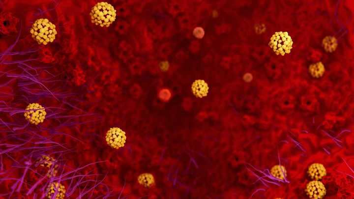 BAJADA DE LOS CONTAGIOS EN CLM : De los 178 nuevos casos de coronavirus detectados este martes en la región, 31 son de Guadalajara que registra TRES nuevas defunciones por Covid 19