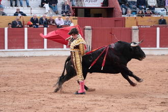 Puerta grande este Viernes de Ferias en la corrida mixta del Coso de Las Cruces de Guadalajara