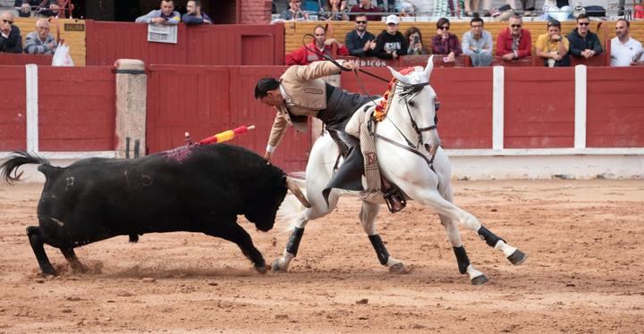 Foto : EDUARDO BONILLA