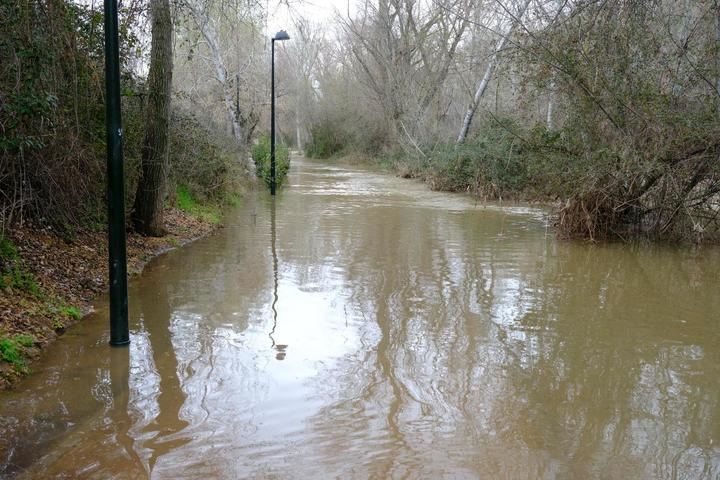 Foto : EDUARDO BONILLA (Archivo)
