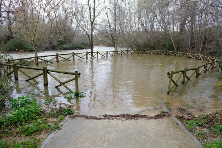 Crecida del río Henares este domingo en Guadalajara. Foto : EDUARDO BONILLA