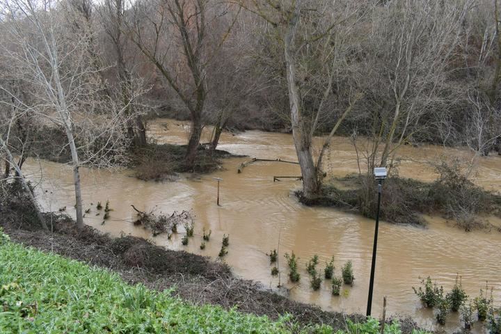 Ecologistas en Acción de Guadalajara y el Grupo Local de WWF recuerdan que advirtieron del riesgo de inundación por las obras en el Henares