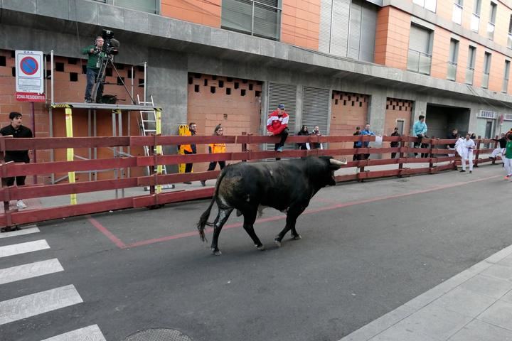 Foto : EDUARDO BONILLA