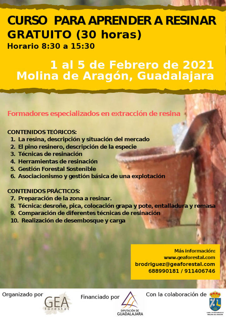 Molina de Aragón acogerá del 1 al 5 de febrero un curso de resineros financiado por la Diputación