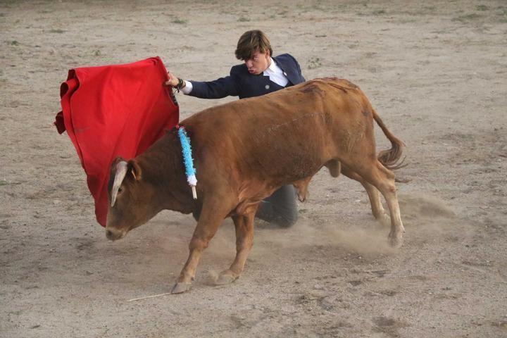 Los novilleros Tristán Barroso y Rubén Núñez salen a hombros en Tamajón