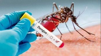Perú declara la EMERGENCIA SANITARIA en 20 regiones tras 32 muertes por dengue