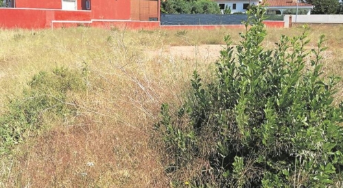 Bando de la Alcaldía de Cabanillas : Se recuerda la obligación de desbrozar parcelas particulares