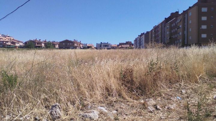 El Ayuntamiento de Guadalajara exige a los propietarios de solares que los mantengan limpios y libres de vegetación para evitar plagas e incendios