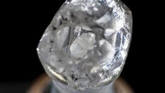 Encuentran en la India un raro diamante de 0,329 quilates con otro diamante pequeño en SU INTERIOR