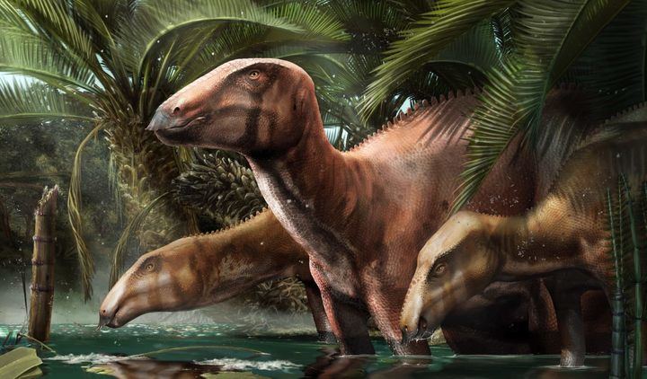 Nuevos especímenes de dinosaurio reescriben la geografía del Mediterráneo hace 80 millones de años