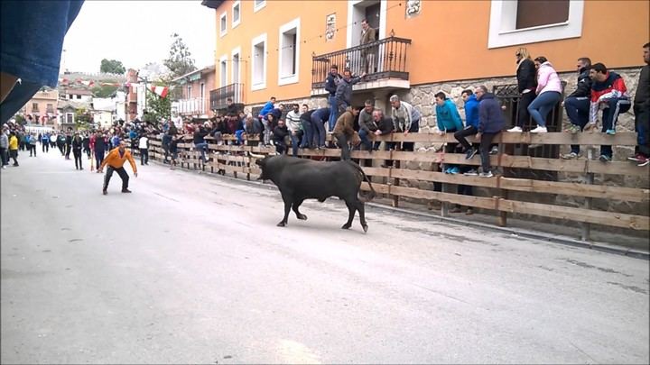 El alcalde de Almoguera quiere este verano un Encierro por el campo en su pueblo si la Junta de Page...lo autoriza
