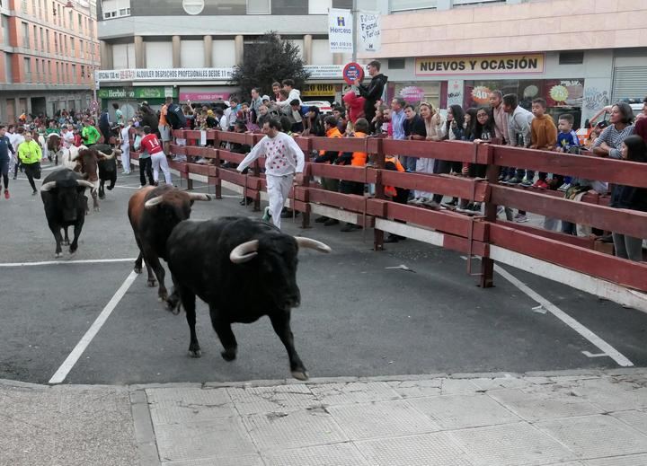 Foto : EDUARDO BONILLA