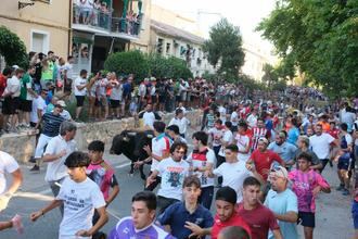Dos heridos por asta de toro durante el encierro por el campo de Brihuega