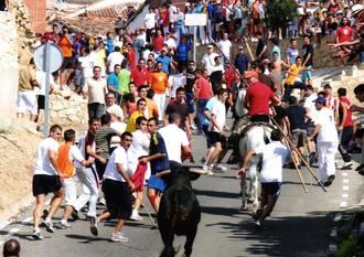 El encierro de La Charcuela de Uceda, declarado Fiesta de Interés Turístico Regional