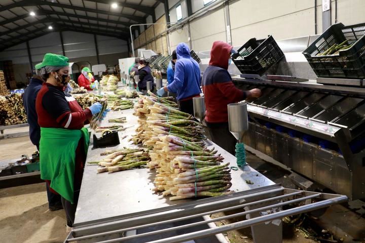 Espagreen, donde tradición e innovación se unen en Cogolludo para ofrecer al consumidor un producto excepcional