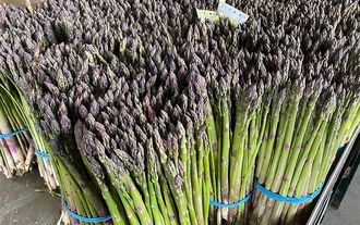 APAG prevé una buena campaña para el espárrago en Guadalajara aunque lamenta que se hayan producido los primeros robos