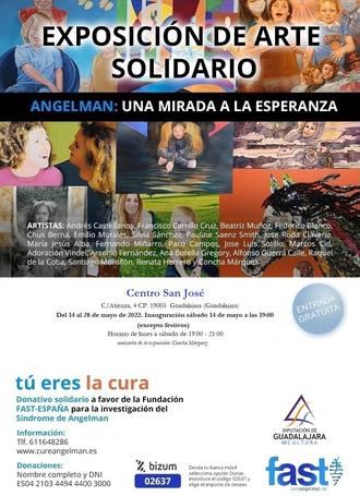 Exposición de arte solidario en la Sala Multiusos de la Diputación de Guadalajara