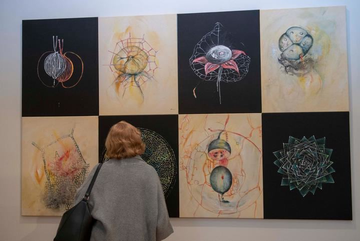 Inaugurada la exposición Triaca. Dioscórides-Laguna-Gamoneda en el Museo Luis González Robles de la UAH