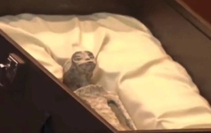 El ufólogo Jaime Maussan exhibe en el Congreso de México dos supuestos cuerpos de extraterrestres