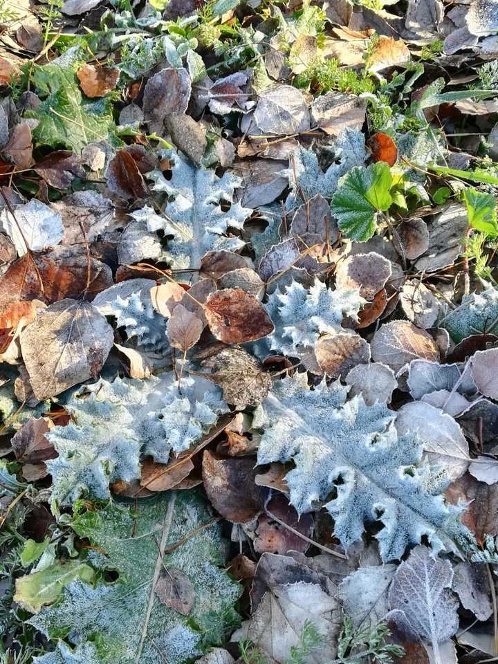 Foto : Jacinto García Duro