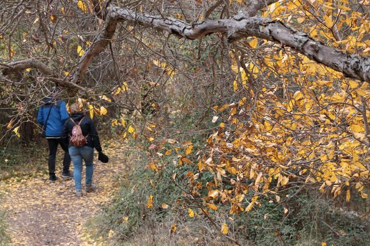 Foto : EDUARDO BONILLA