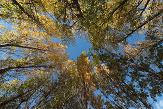 Más frío (3ºC) pero ambiente soleado con algunas nubes este viernes en Guadalajara que tendrá rachas de viento de hasta 16 kms/h