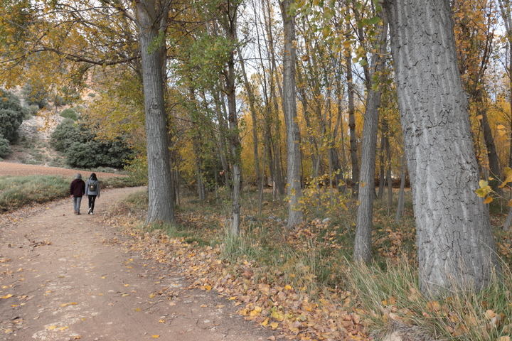 Foto : EDUARDO BONILLA