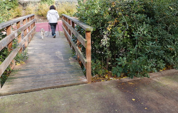 Foto : EDUARDO BONILLA