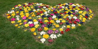 Cielos despejados y ambiente soleado este viernes, Día de los Enamorados, en Guadalajara llegando el mercurio a los 17ºC