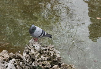 6ºC de mínima y 16ºC de máxima este jueves en Guadalajara