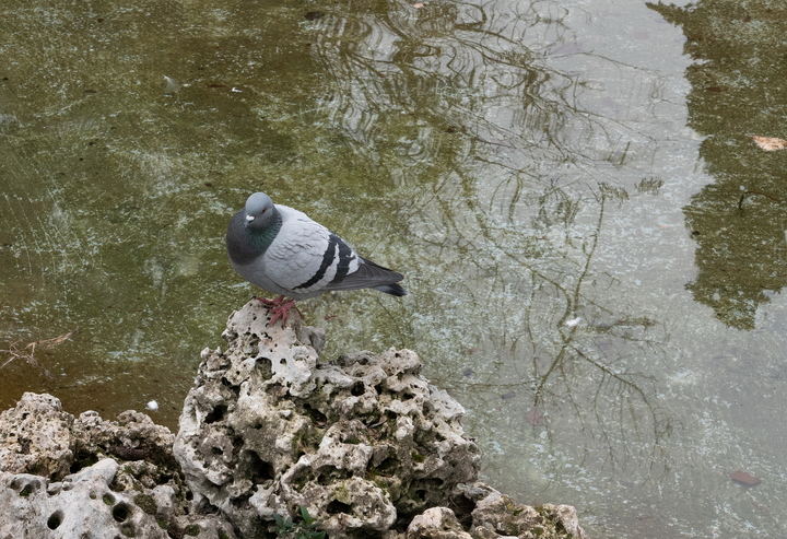 Foto : EDUARDO BONILLA