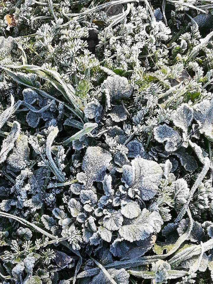 Foto : Jacinto García Duro