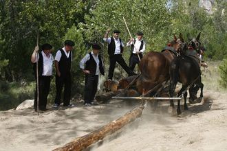 El DOCM publica la resolución por la que se inicia el expediente para declarar Bien de Interés Cultural Los Gancheros del Alto Tajo