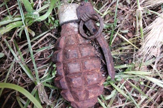 Neutralizan una granada de la Guerra Civil hallada en un pinar de Utande