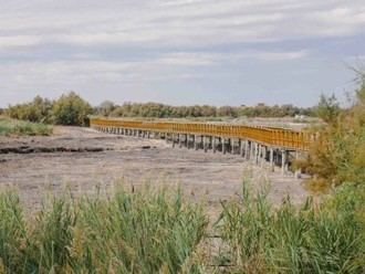 Greenpeace denuncia que Castilla La Mancha desprecia sus humedales y opta por no conservarlos