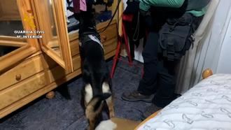 La Guardia Civil de Guadalajara desmantela una organización criminal dedicada al tráfico ilícito de vehículos a nivel europeo